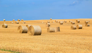 Hay bale production in farming business